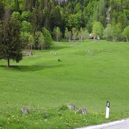 Pradibosco Agrituristico Sauris di Sopra